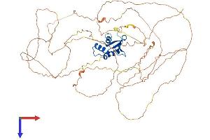 AlphaFold protein structure predicition of Human Recombinant ELF4 Protein, UniprotID Q99607 (Elf4 Protein (AA 1-663) (His tag))