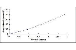 Typical standard curve (ENO2/NSE ELISA 试剂盒)