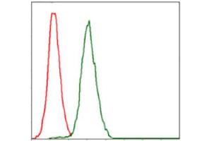 Flow Cytometry (FACS) image for anti-Replication Protein A1, 70kDa (RPA1) antibody (ABIN1846411) (RPA1 抗体)