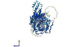 Protein Structure (PS) image for Tetratricopeptide Repeat Domain 13 (TTC13) (AA 1-860) protein (His tag) (ABIN7544932)