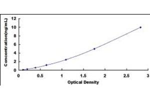 Typical standard curve (ENPP7 ELISA 试剂盒)