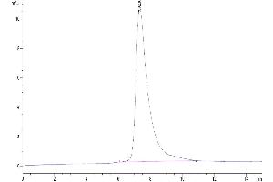 Size-exclusion chromatography-High Pressure Liquid Chromatography (SEC-HPLC) image for Tumor-Associated Calcium Signal Transducer 2 (TACSTD2) (AA 25-270) protein (His tag) (ABIN7275798)