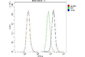Flow Cytometry analysis of A431 cells using anti-TANK antibody (ABIN6719508). (TANK 抗体)