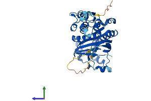 Protein Structure (PS) image for SUMO1 Activating Enzyme Subunit 1 (SAE1) (AA 1-346) protein (His tag) (ABIN7551720)