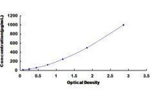 CD40 (CD40) ELISA Kit
