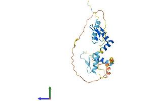 Protein Structure (PS) image for Sodium Channel Modifier 1 (SCNM1) (AA 1-230) protein (His tag) (ABIN7545910)