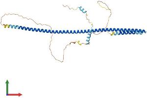 Protein Structure (PS) image for Golgin, RAB6-Interacting (GORAB) (AA 1-368) protein (His tag) (ABIN7558841)