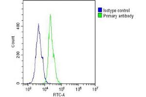 Overlay histogram showing A431 cells stained with (ABIN388105 and ABIN2846220) (green line). (MCL-1 抗体  (AA 191-226))