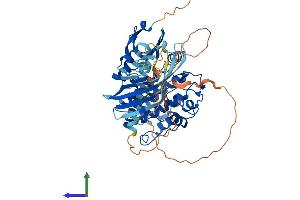 Protein Structure (PS) image for Calcium/calmodulin-Dependent Protein Kinase II beta (CAMK2B) (AA 1-542) protein (His tag) (ABIN7563055)