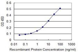 Detection limit for recombinant GST tagged DUSP1 is 0. (DUSP1 抗体  (AA 305-367))