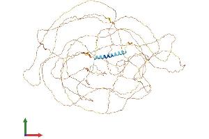 Protein Structure (PS) image for Fibrous Sheath CABYR Binding Protein (FSCB) (AA 1-1074) protein (His tag) (ABIN7561854)