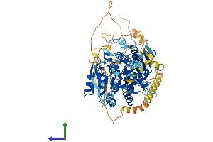 Protein Structure (PS) image for Digestive Organ Expansion Factor Homolog (DIEXF) (AA 1-772) protein (His tag) (ABIN7558882)
