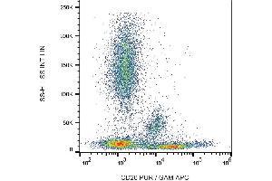 Surface staining of human peripheral blood cells with anti-human CD26 (BA5b) purified, GAM-APC. (DPP4 抗体  (APC))