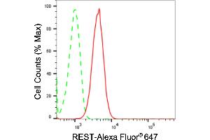 Flow cytometric analysis of REST expression in C2C12 cells using REST antibody (ABIN7800148), 1:2,000). (Recombinant REST 抗体)