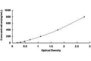 Typical standard curve (Vitamin D-Binding Protein ELISA 试剂盒)