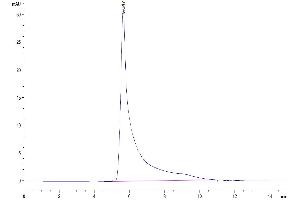 Size-exclusion chromatography-High Pressure Liquid Chromatography (SEC-HPLC) image for Chemokine (C-C Motif) Ligand 5 (CCL5) (AA 24-91) protein (Fc Tag) (ABIN7274051)