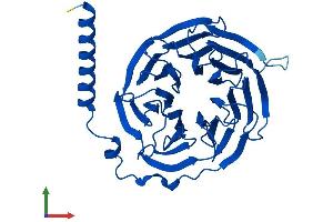 AlphaFold protein structure predicition of Human Recombinant GNB3 Protein, UniprotID P16520