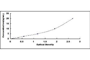 Typical standard curve (CYLD ELISA 试剂盒)