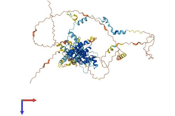 SPIRE2 Protein (AA 1-718) (His tag)