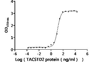 Measured by its binding ability in a functional ELISA.