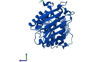 AlphaFold protein structure predicition of Mouse Recombinant Dhdh Protein, UniprotID Q9DBB8