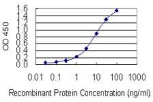 Detection limit for recombinant GST tagged HELLS is 0. (HELLS 抗体  (AA 1-348))