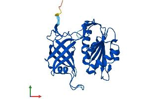 AlphaFold protein structure predicition of Mouse Recombinant Cyb5r2 Protein, UniprotID Q3KNK3 (CYB5R2 Protein (AA 1-276) (His tag))
