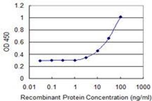 Detection limit for recombinant GST tagged RGS18 is 1 ng/ml as a capture antibody. (RGS18 抗体  (AA 1-235))