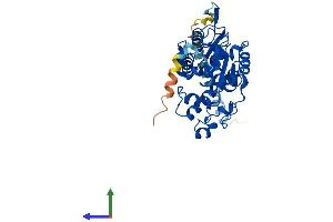 AlphaFold protein structure predicition of Human Recombinant TPST2 Protein, UniprotID O60704