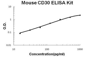 ELISA image for Tumor Necrosis Factor Receptor Superfamily, Member 8 (TNFRSF8) ELISA Kit (ABIN6719865)