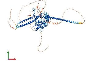 Protein Structure (PS) image for Tousled-Like Kinase 2 (TLK2) (AA 1-772) protein (His tag) (ABIN7555759)