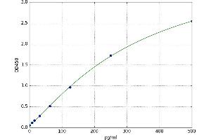 A typical standard curve (Decorin ELISA 试剂盒)