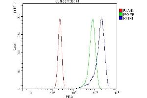 Flow Cytometry analysis of U20S cells using anti-PITPNB antibody (ABIN7600344). (RFTN1 抗体  (AA 18-437))