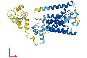 Protein Structure (PS) image for Rhomboid, Veinlet-Like 1 (RHBDL1) (AA 1-373) protein (His tag) (ABIN7559802)