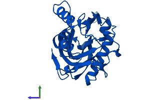 Protein Structure (PS) image for Isopentenyl-Diphosphate delta Isomerase 1 (IDI1) (AA 1-227) protein (His tag) (ABIN7548422)