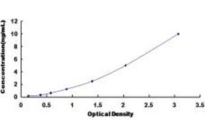 Typical standard curve (ANKRD1 ELISA 试剂盒)