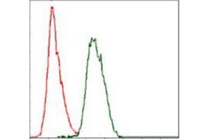 Flow cytometric analysis of Hela cells using COTL1 mouse mAb (green) and negative control (red). (COTL1 抗体)