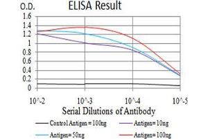 Black line: Control Antigen (100 ng);Purple line: Antigen (10ng); Blue line: Antigen (50 ng); Red line:Antigen (100 ng)