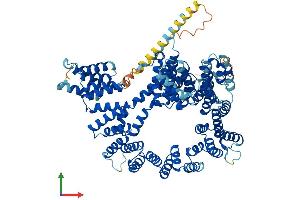 Protein Structure (PS) image for N(alpha)-Acetyltransferase 16, NatA Auxiliary Subunit (NAA16) (AA 1-864) protein (His tag) (ABIN7561271)