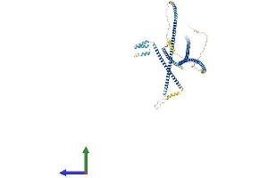 AlphaFold protein structure predicition of Human Recombinant GCC1 Protein, UniprotID Q96CN9