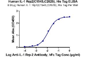 Immobilized Human IL-1 Rrp2(C154S,C262S), His Tag at 0. (IL1RL2 Protein (AA 20-337, C154S, C262S) (His tag))