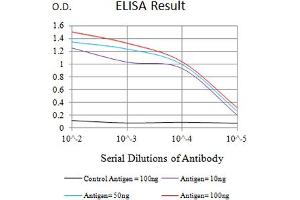 Black line: Control Antigen (100 ng),Purple line: Antigen (10 ng), Blue line: Antigen (50 ng), Red line:Antigen (100 ng) (CD46 抗体  (AA 35-179))