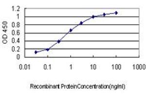 ELISA image for anti-SRSF Protein Kinase 1 (SRPK1) (AA 371-470) antibody (ABIN563001)