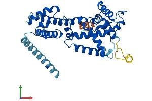 Protein Structure (PS) image for ELMO/CED-12 Domain Containing 1 (ELMOD1) (AA 1-326) protein (His tag) (ABIN7557350)