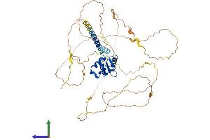 Protein Structure (PS) image for Ets Variant 5 (ETV5) (AA 1-510) protein (His tag) (ABIN7547460)