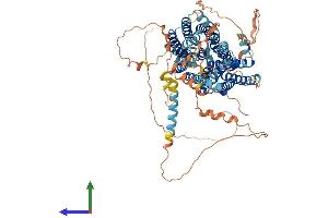 Protein Structure (PS) image for Major Facilitator Superfamily Domain Containing 6 (MFSD6) (AA 1-775) protein (His tag) (ABIN7559234)