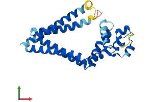 Protein Structure (PS) image for Tetraspanin 1 (TSPAN1) (AA 1-240) protein (His tag) (ABIN7560299)