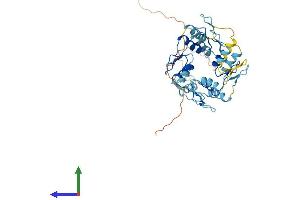 Protein Structure (PS) image for Zinc Finger Protein 322A (ZNF322A) (AA 1-402) protein (His tag) (ABIN7545797)