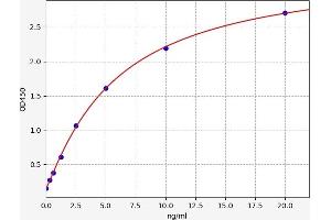 Typical standard curve (DDAH2 ELISA 试剂盒)