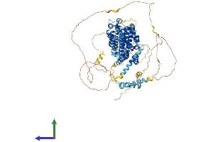 Protein Structure (PS) image for PAX3 and PAX7 Binding Protein 1 (PAXBP1) (AA 1-919) protein (His tag) (ABIN7563469)